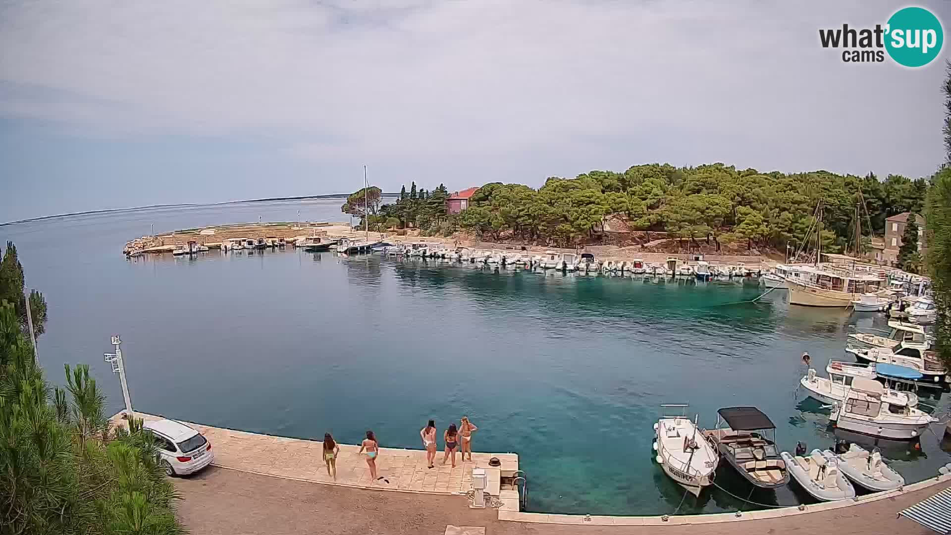 Mandre – marina
