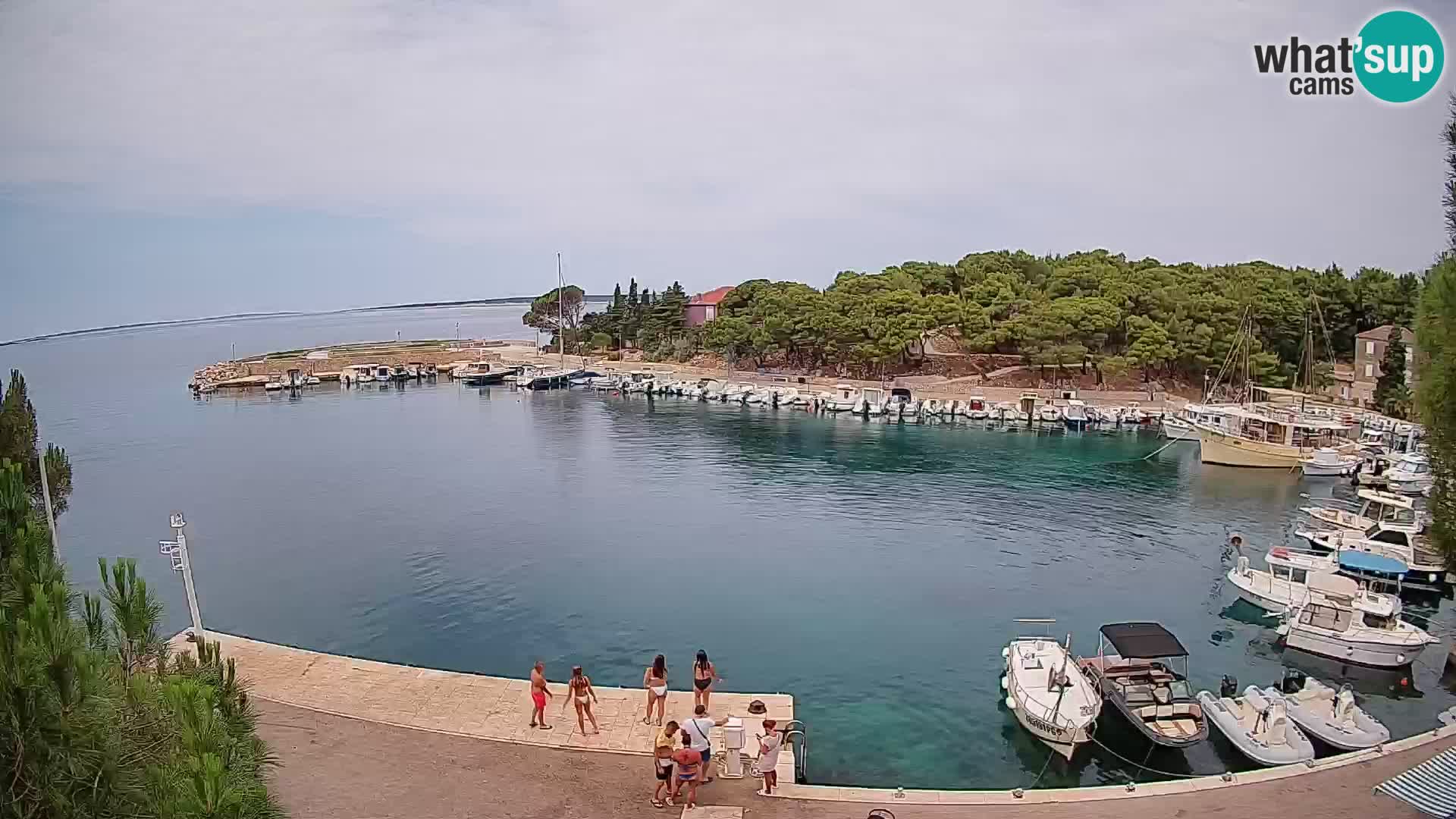 Mandre – marina
