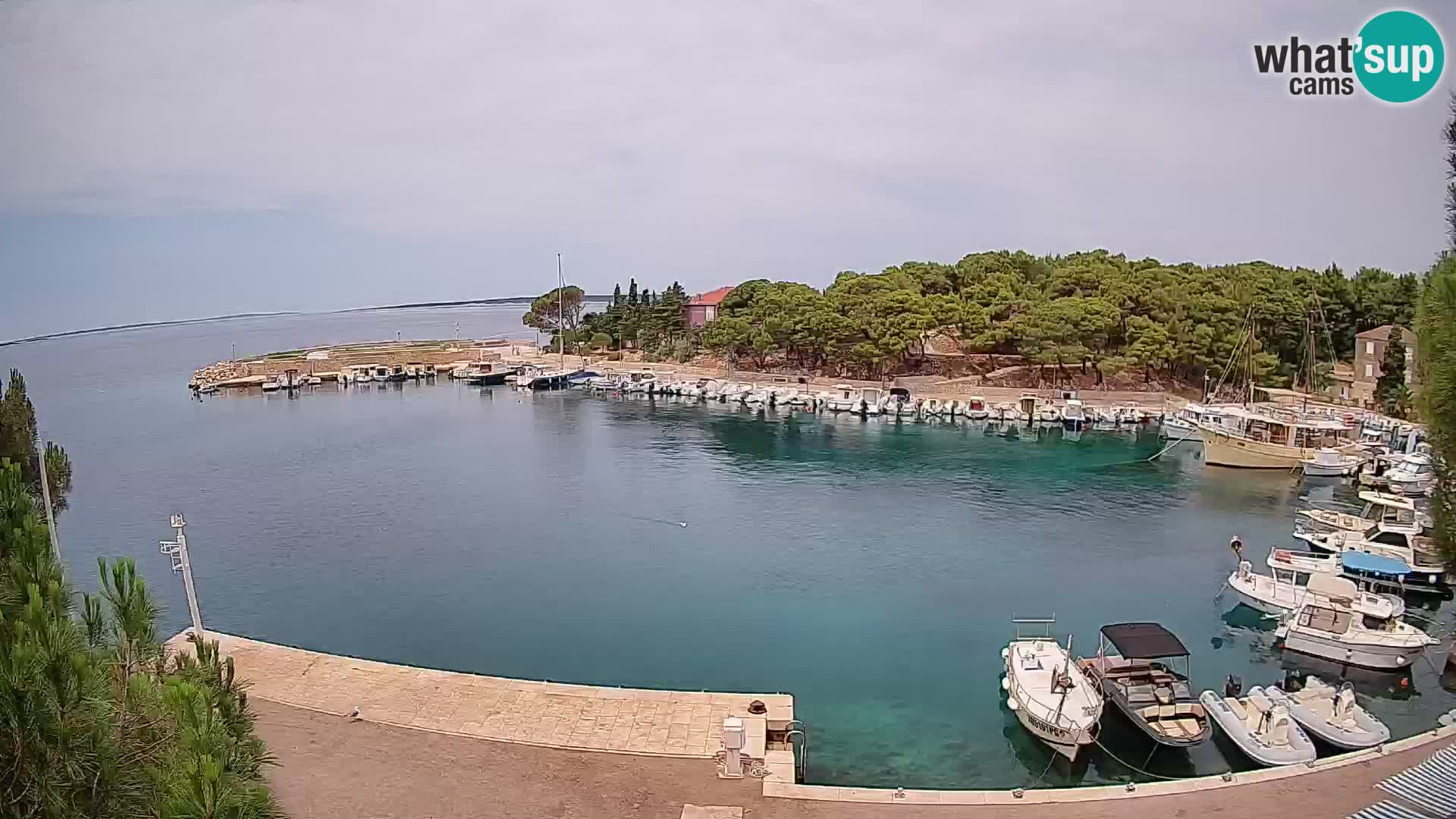 Mandre – marina