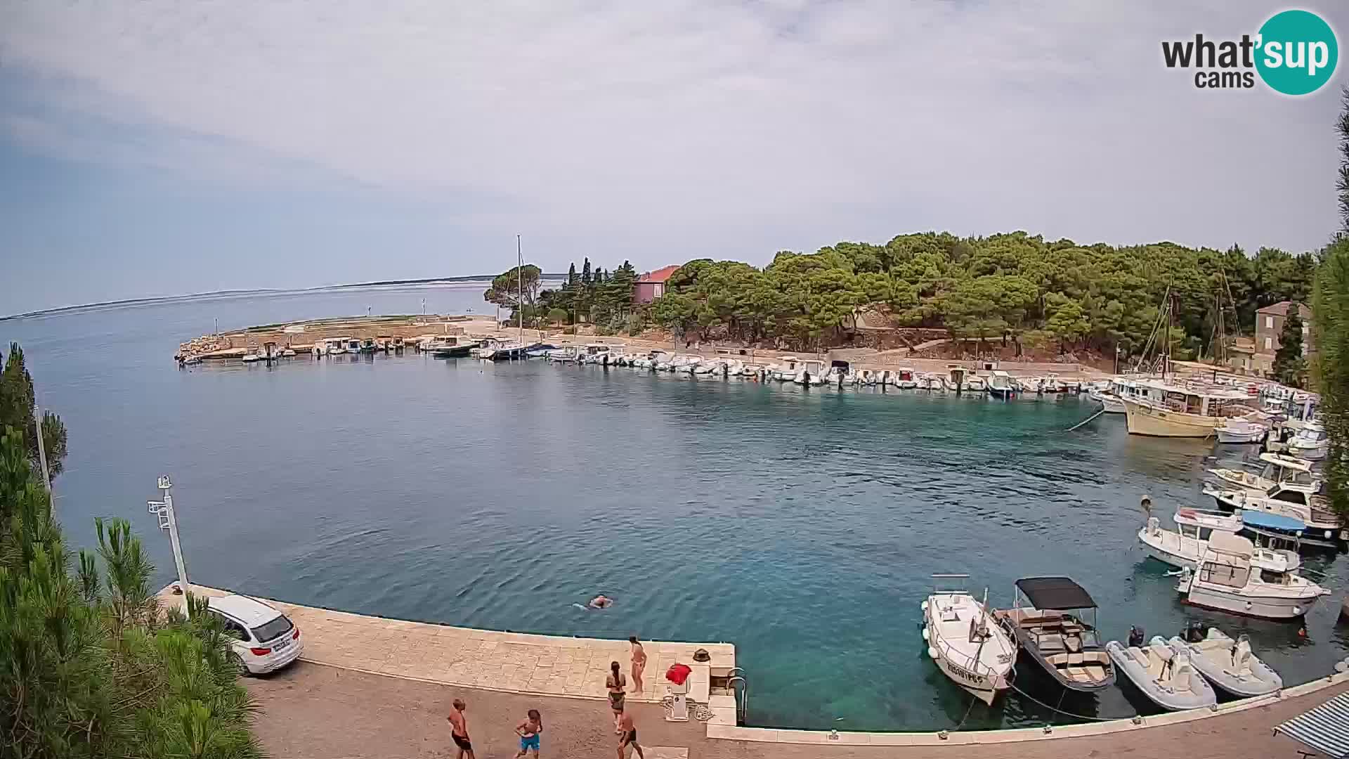 Mandre – marina