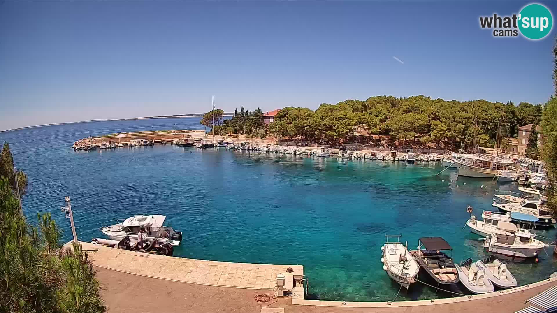 Mandre – marina