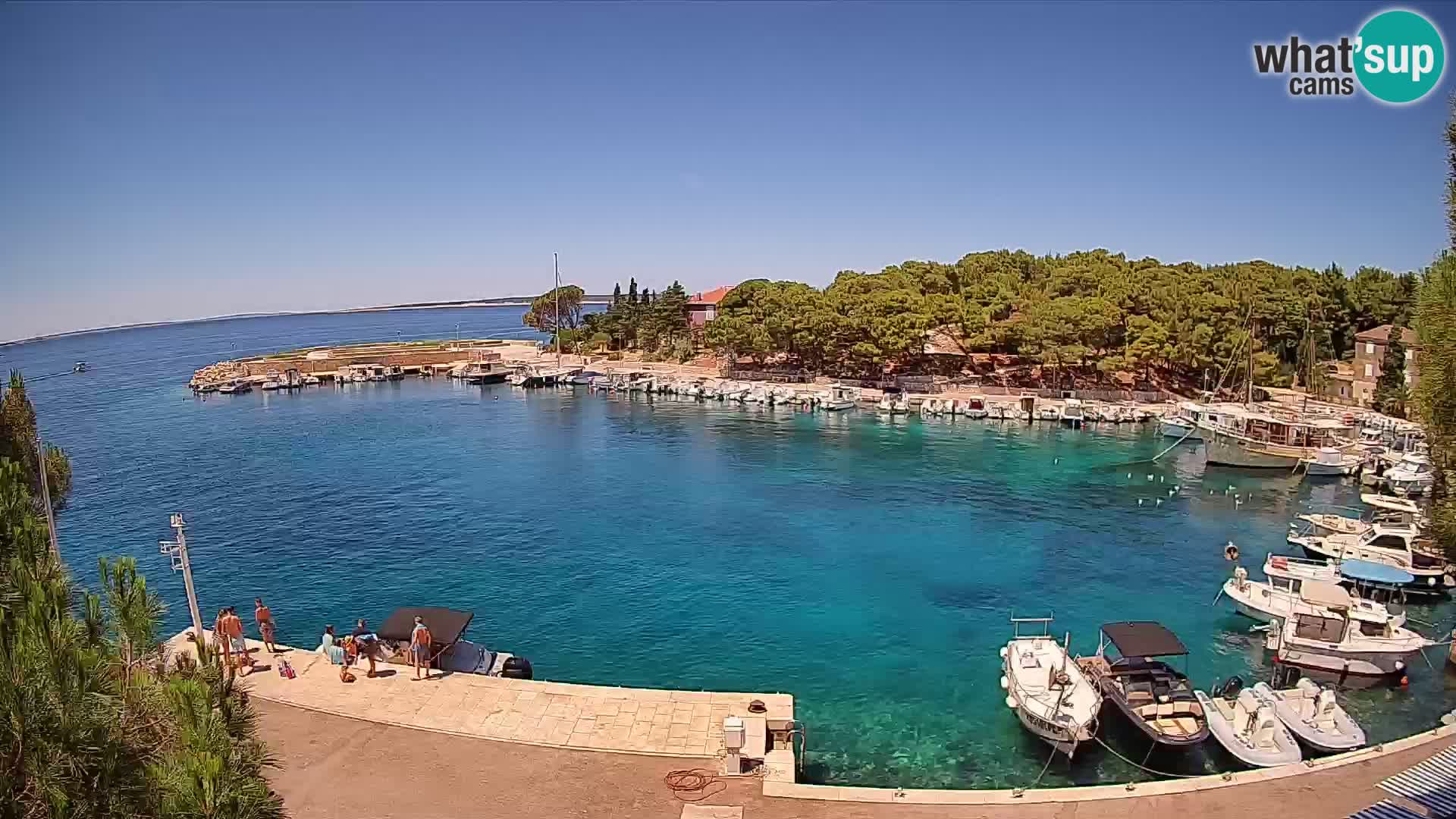 Mandre – marina