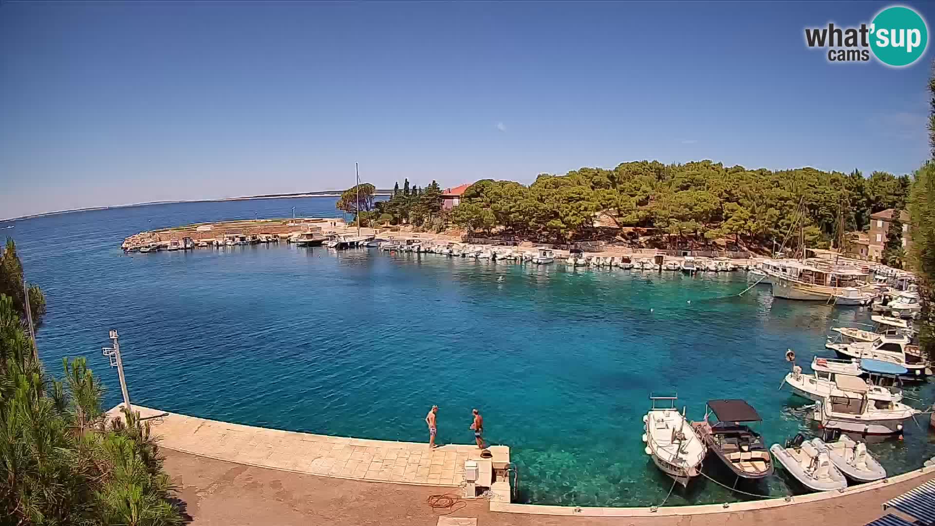 Mandre – marina