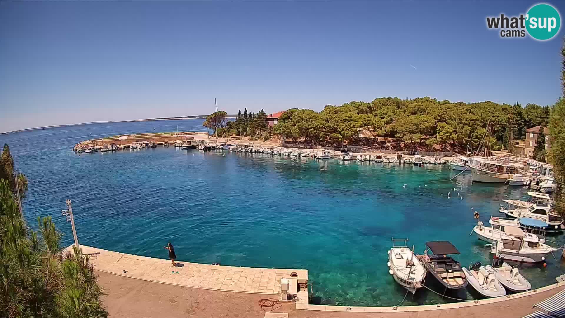Mandre – marina