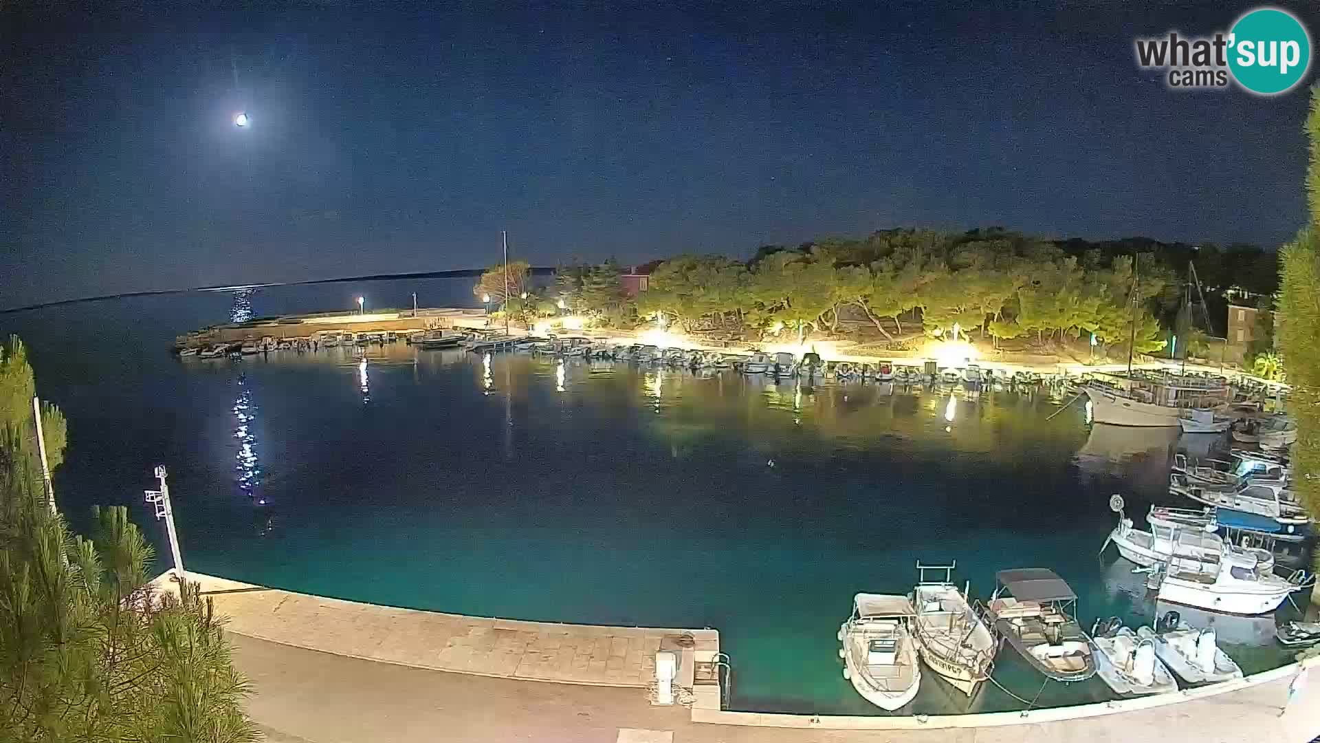 Mandre – marina