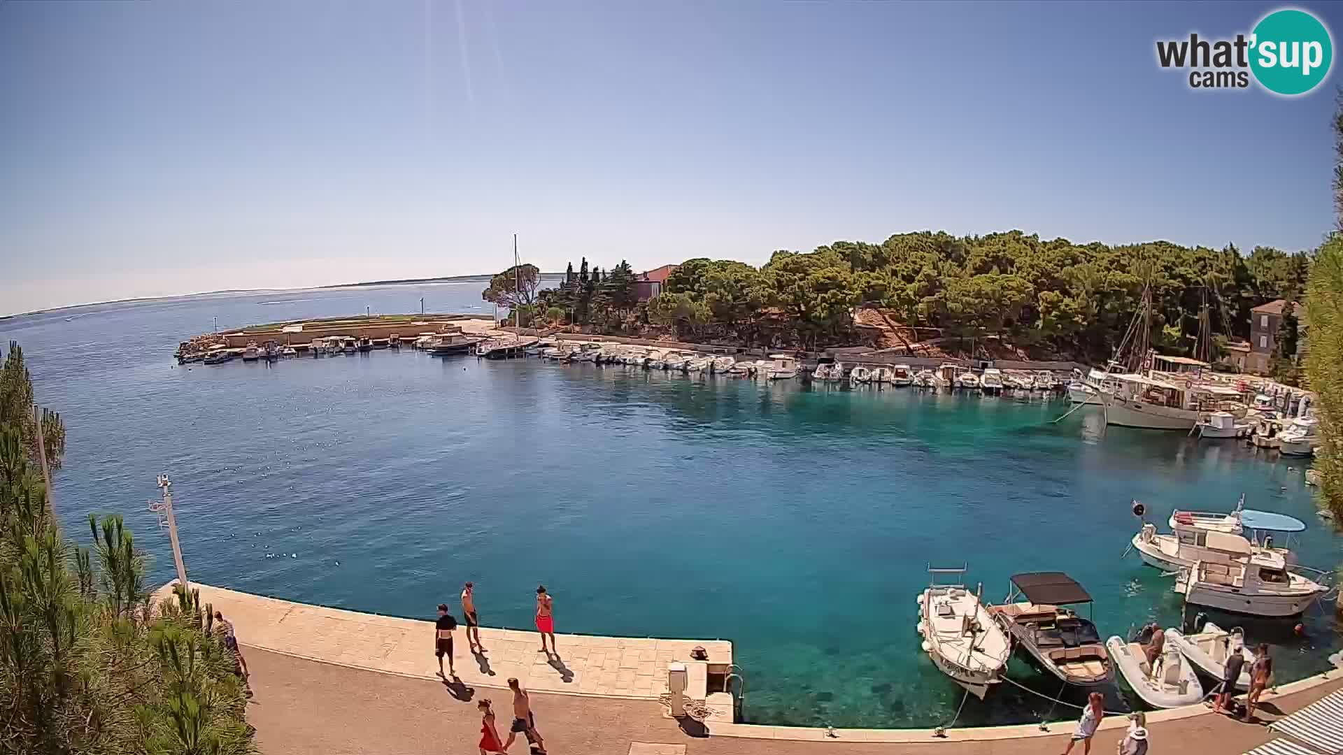 Mandre – marina