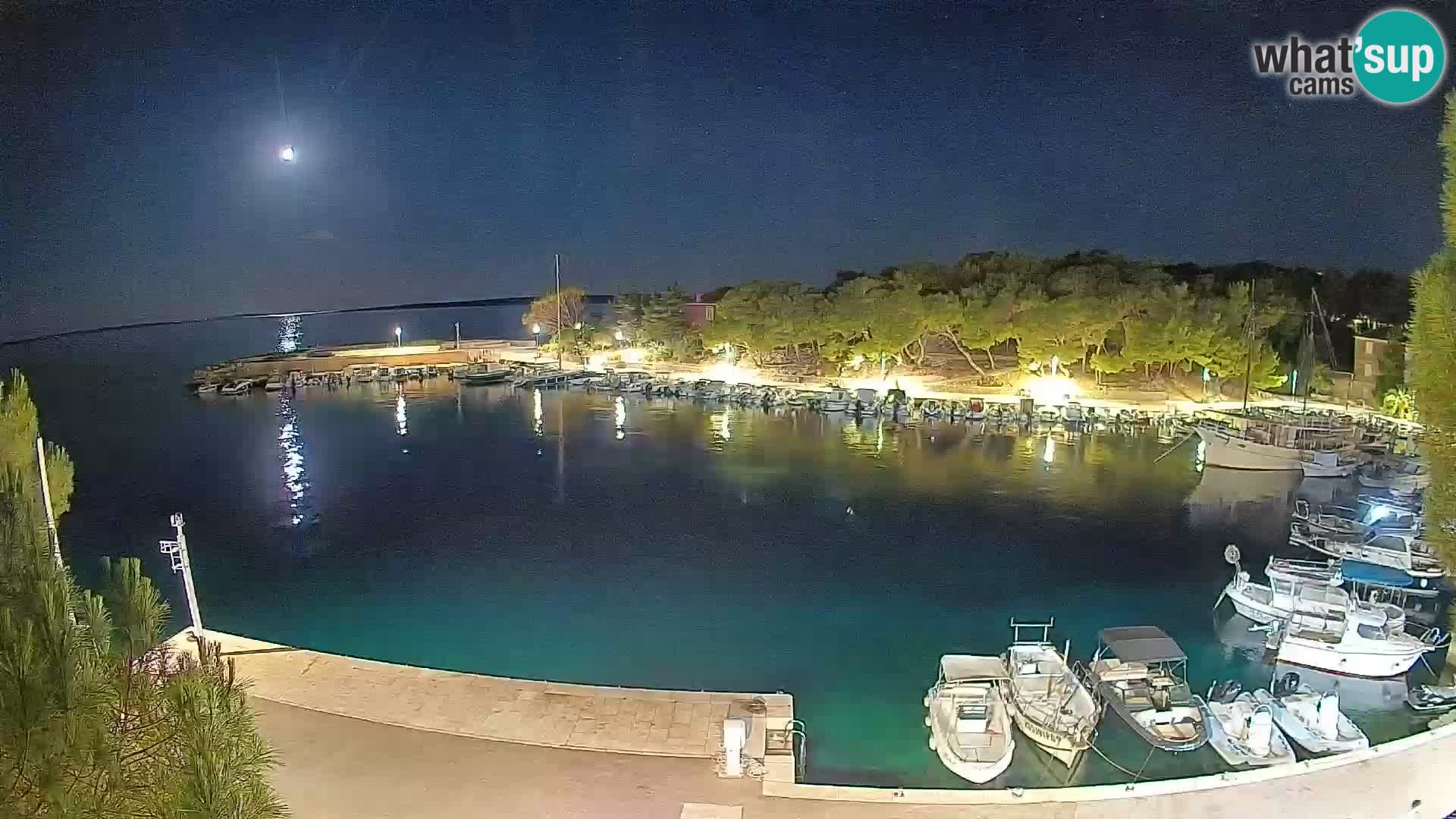 Mandre – marina