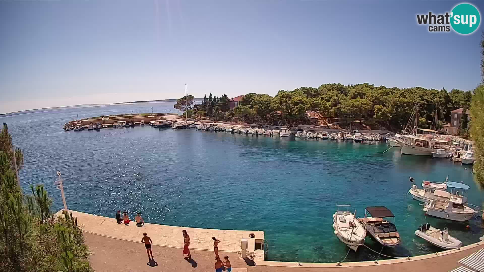 Mandre – marina