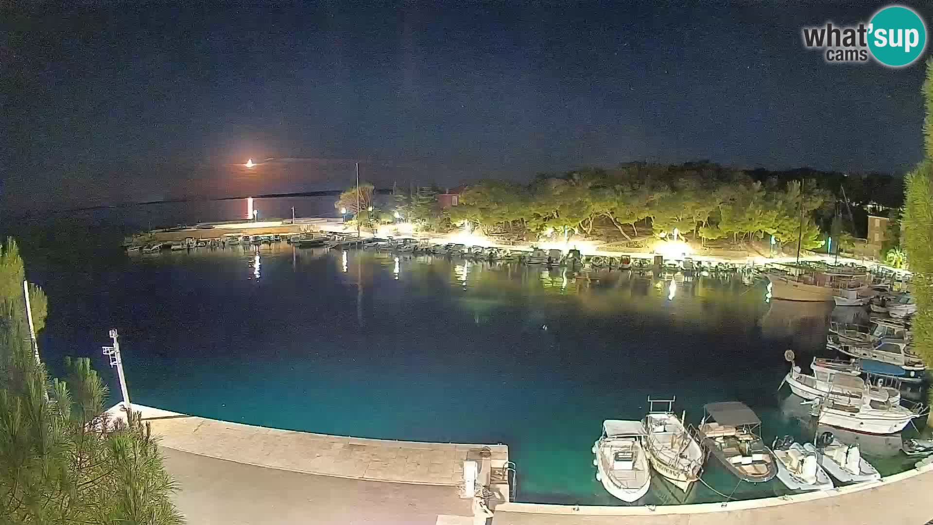 Mandre – marina