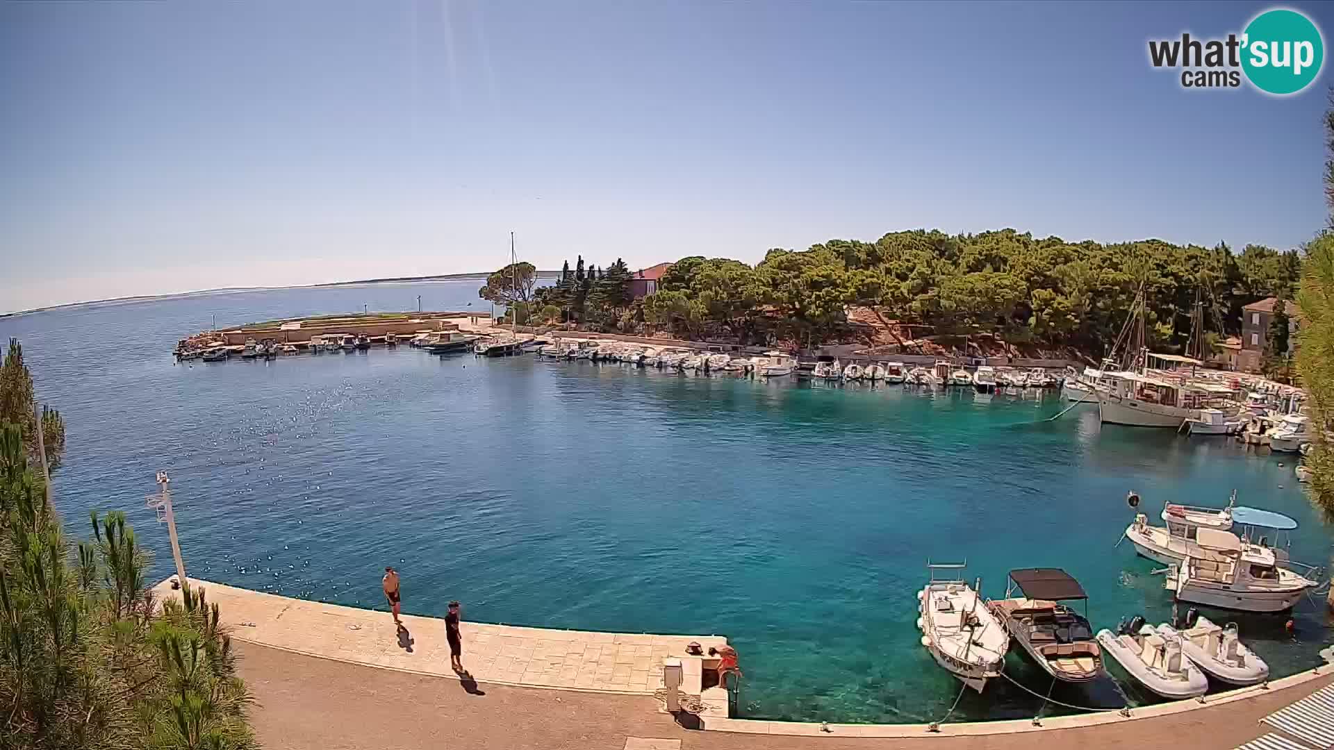 Mandre – marina