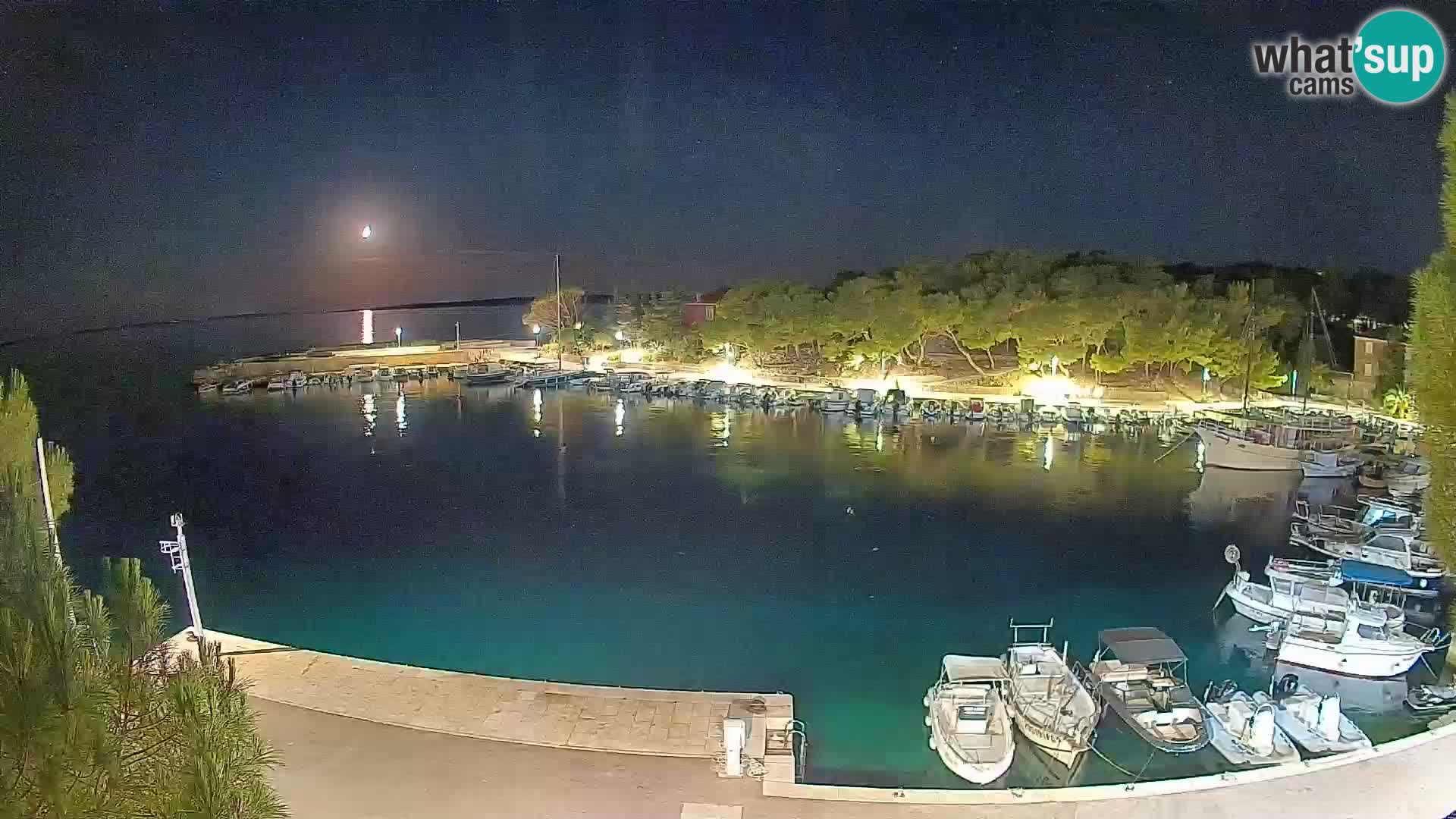Mandre – marina