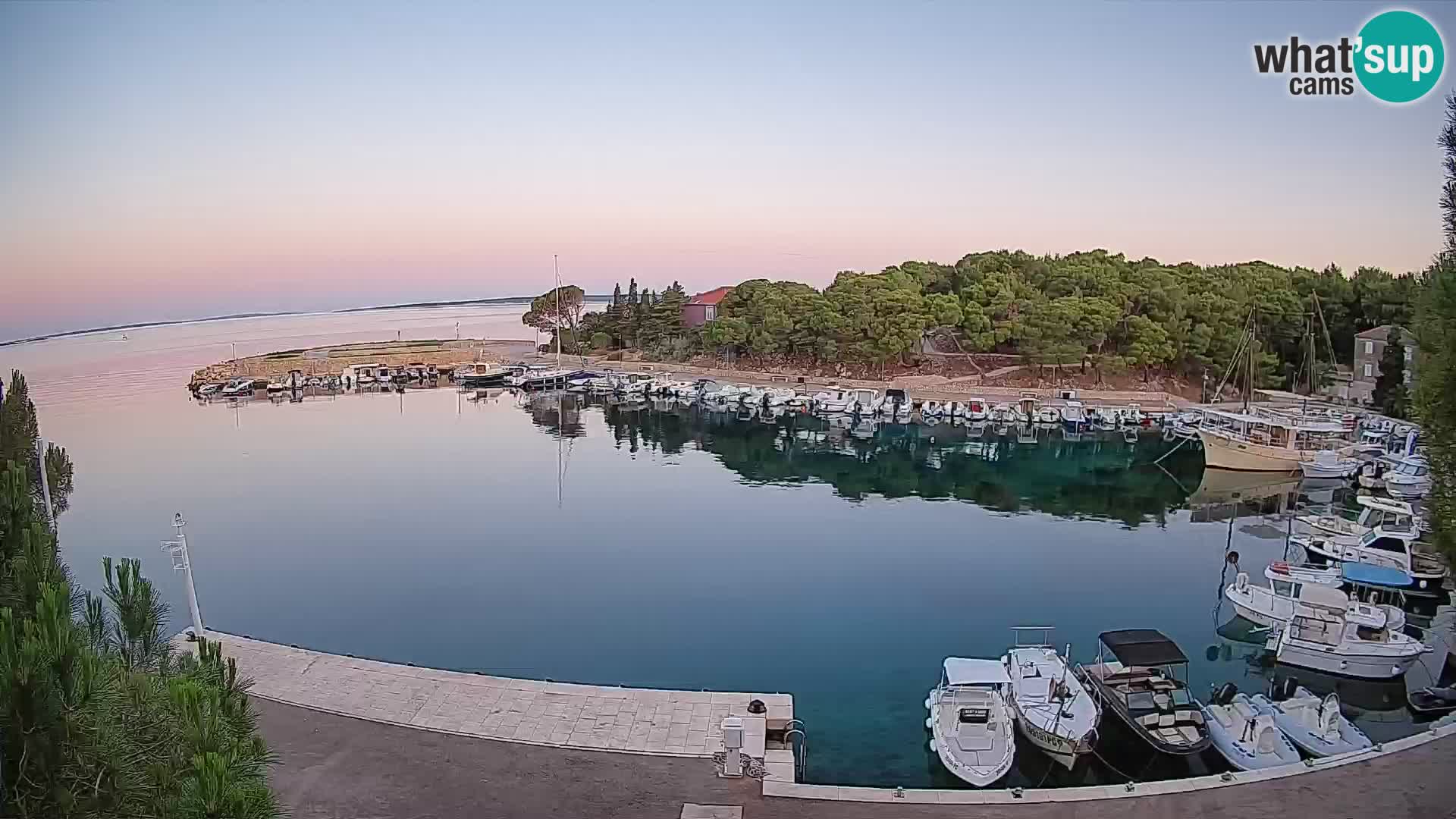 Mandre – marina