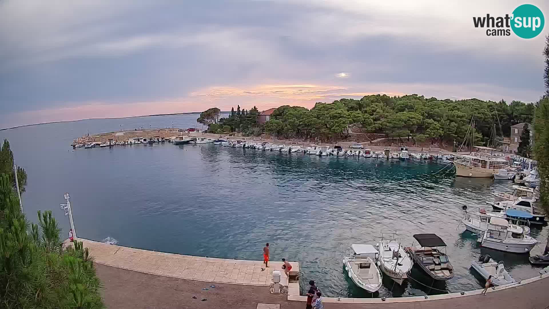 Mandre – marina
