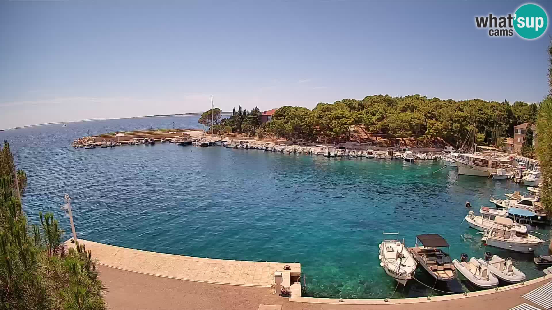 Mandre – marina