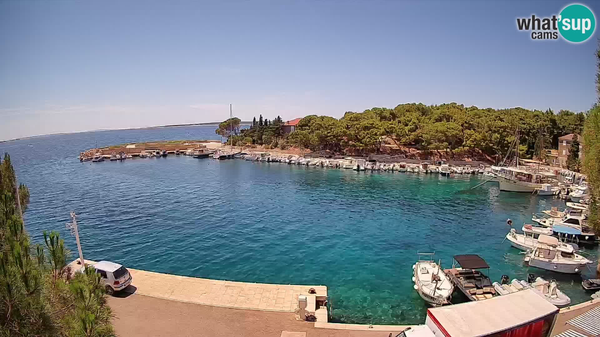 Mandre – marina