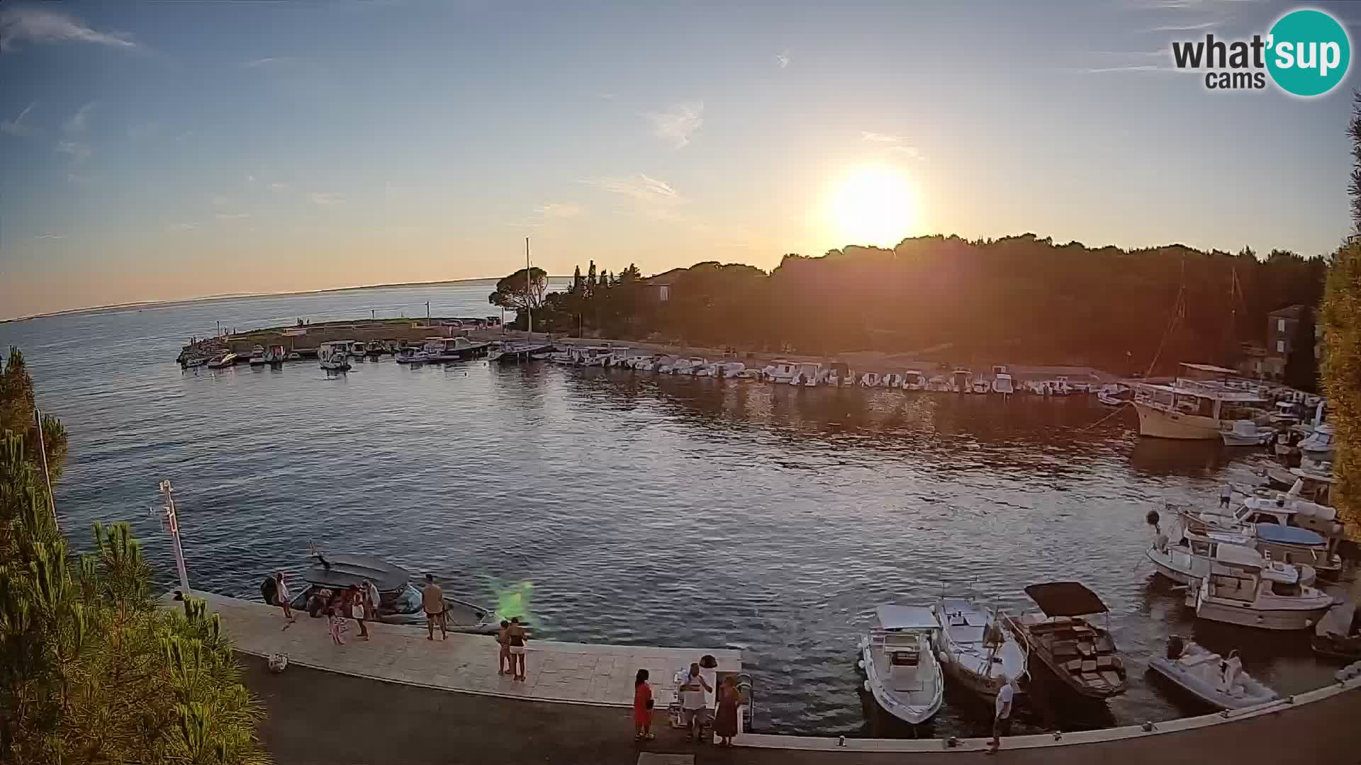 Mandre – marina