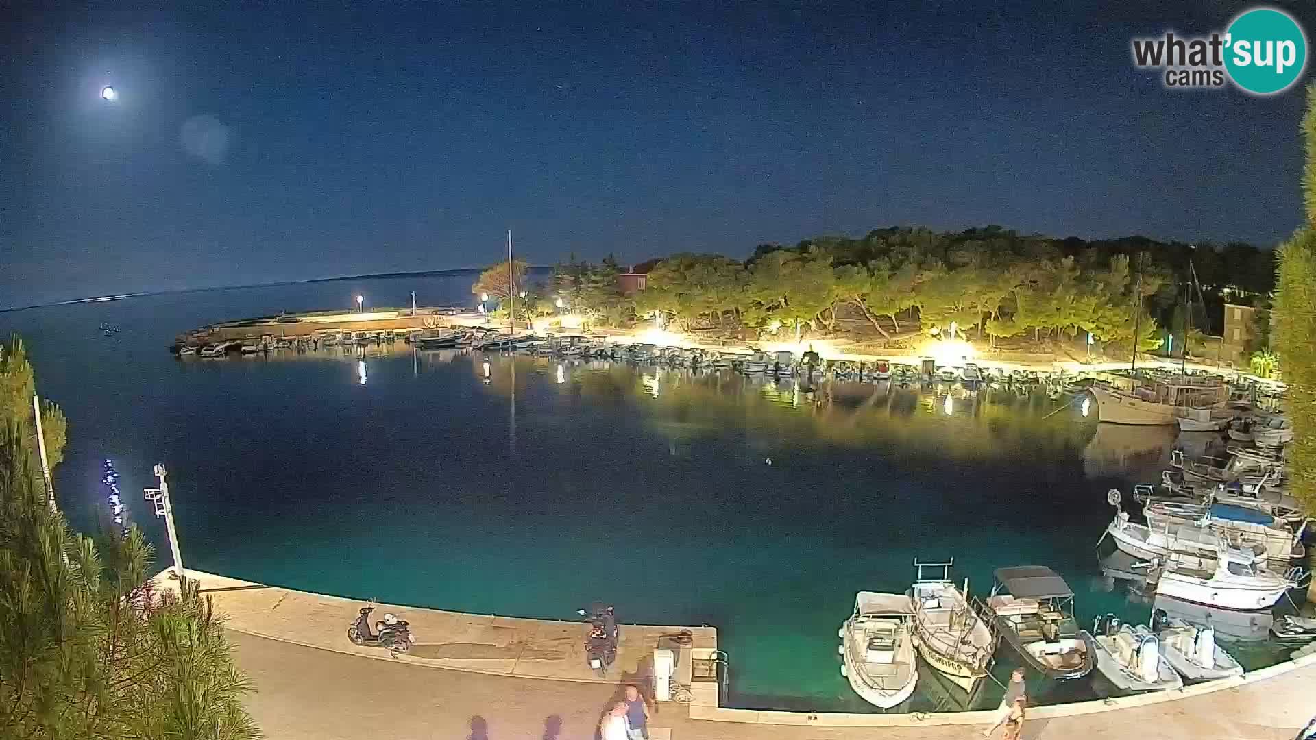Mandre – marina