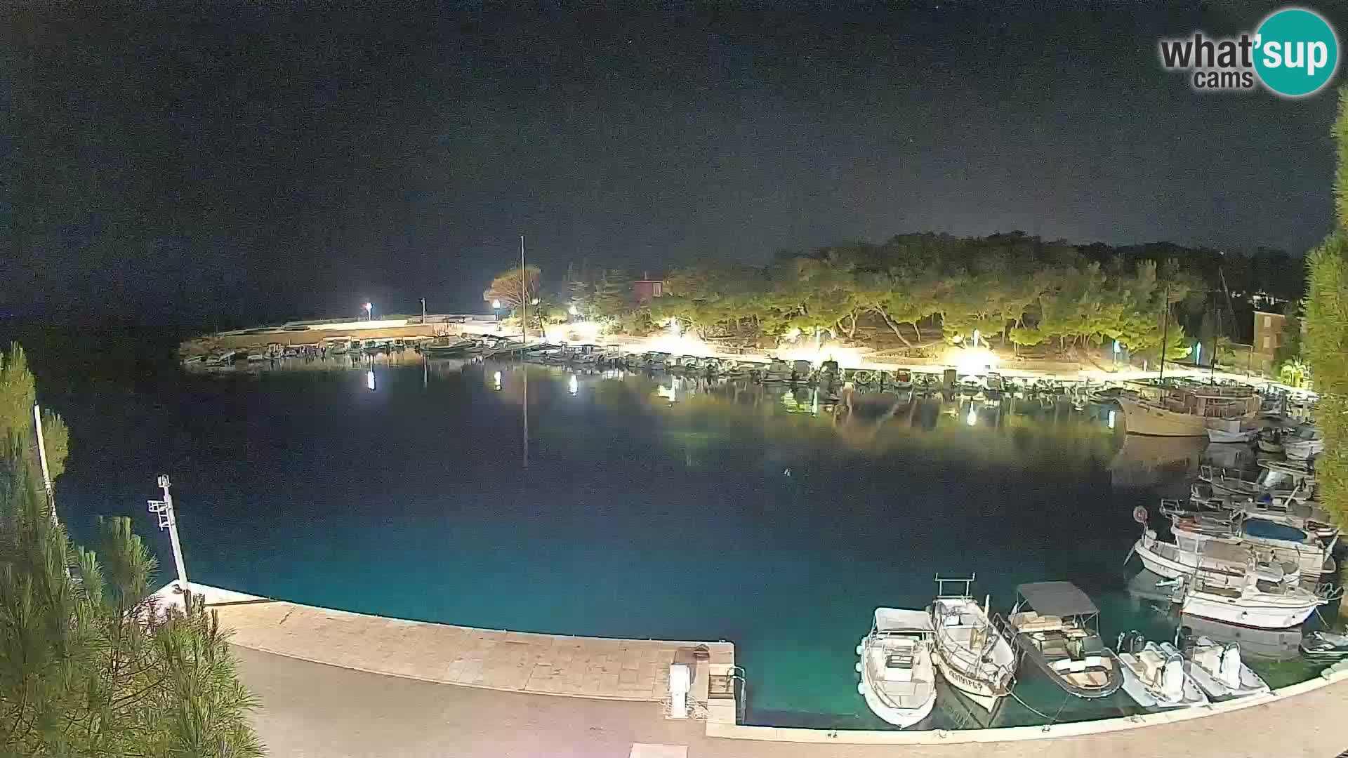 Mandre – marina