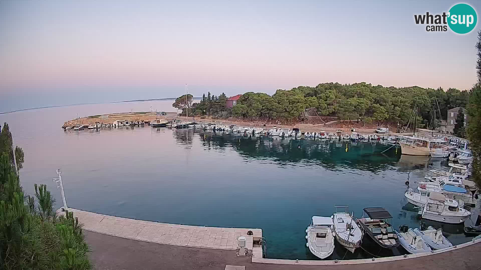Mandre – marina