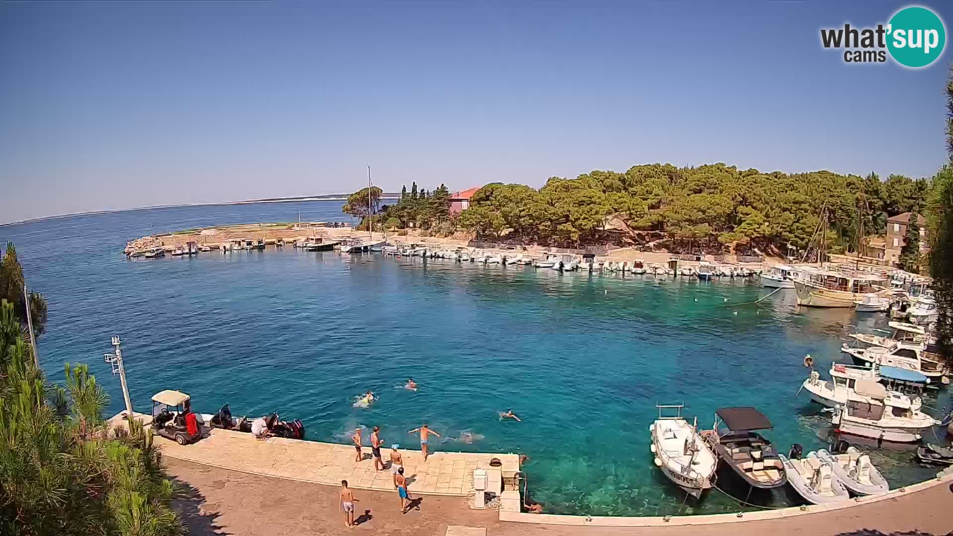 Mandre – marina