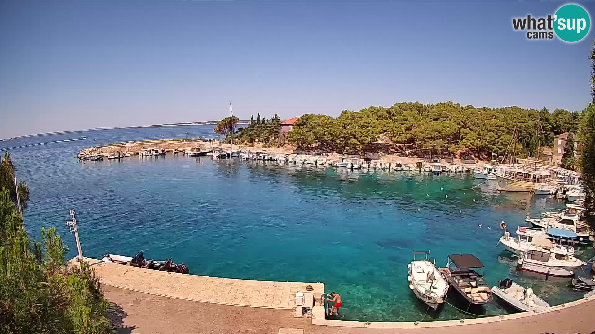 Mandre – marina