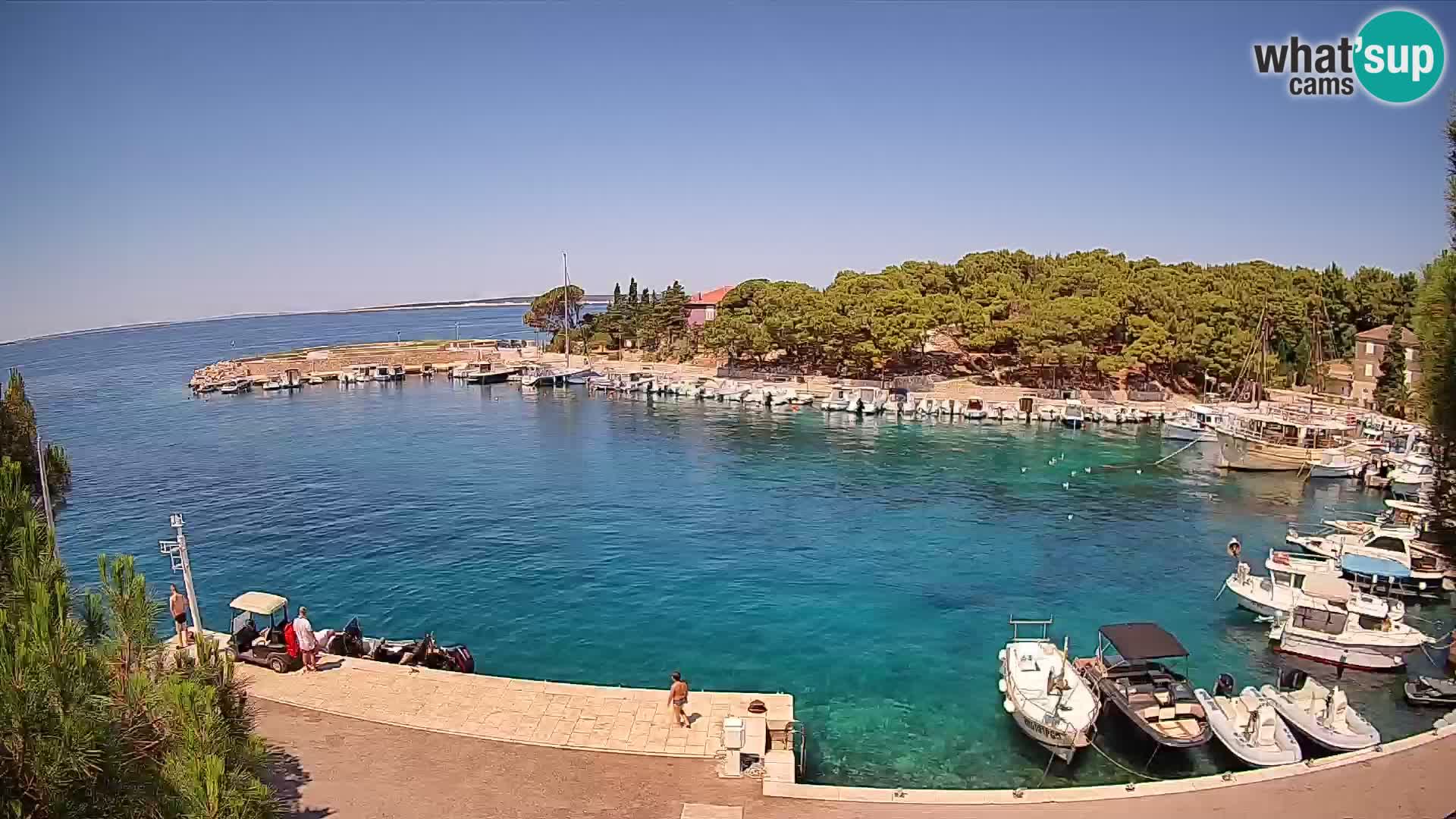 Mandre – marina