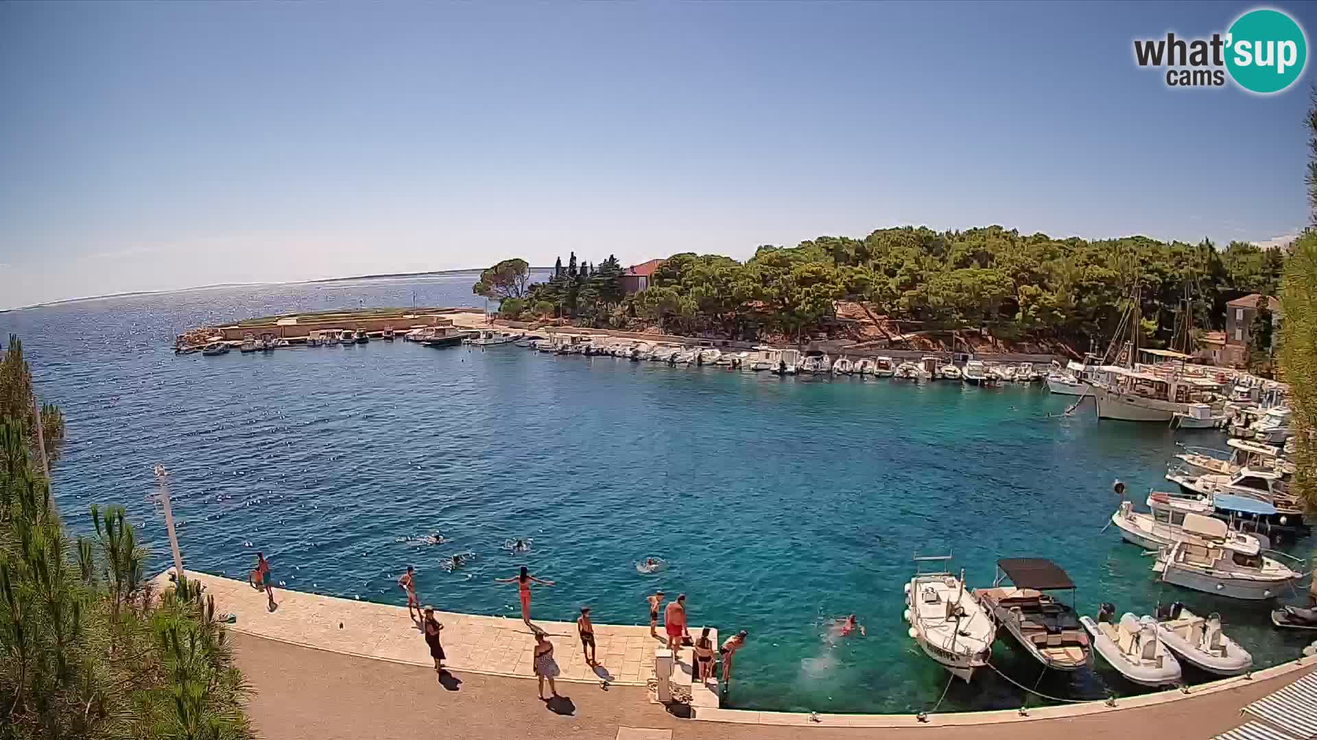 Mandre – marina