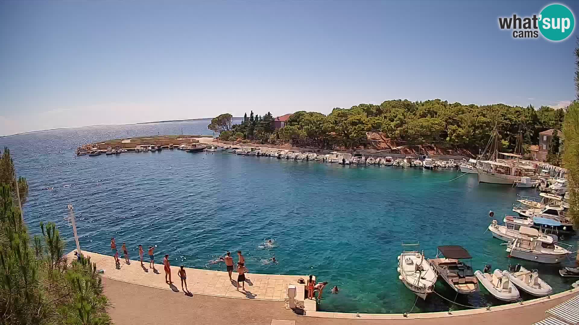 Mandre – marina
