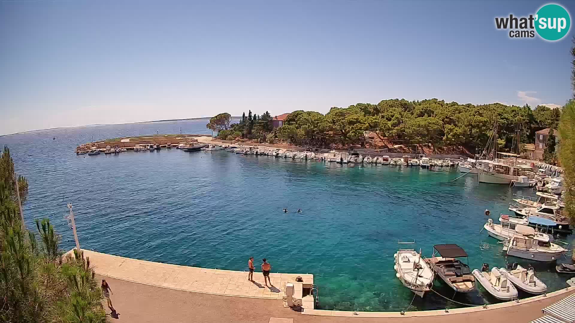 Mandre – marina