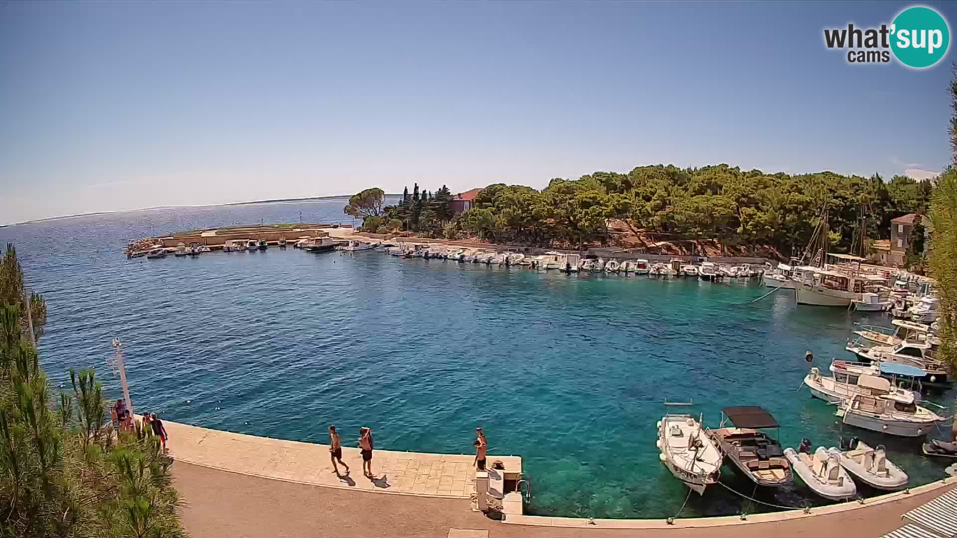 Mandre – marina