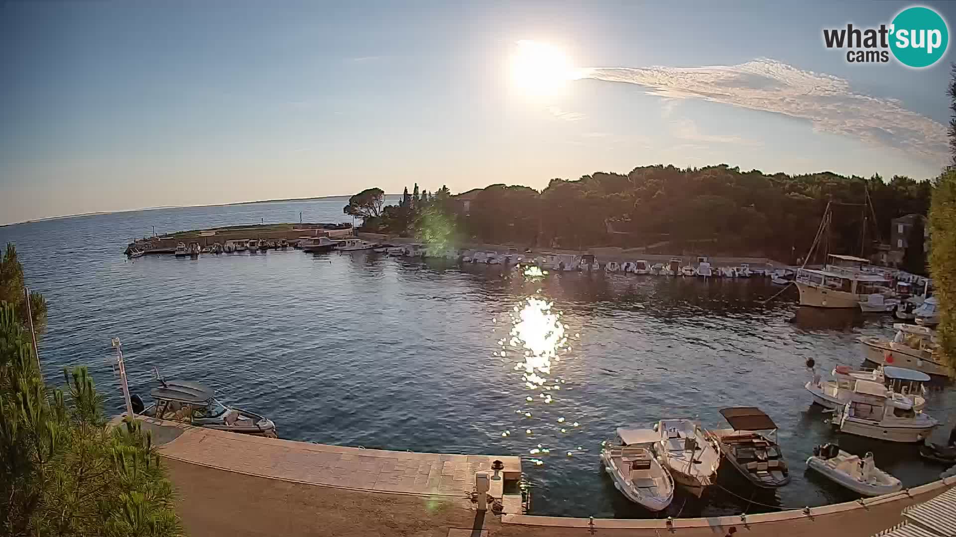 Mandre – marina