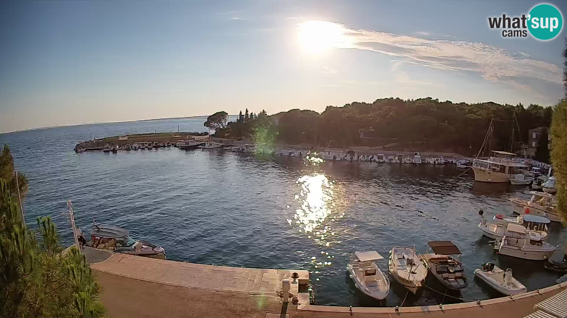 Mandre – marina