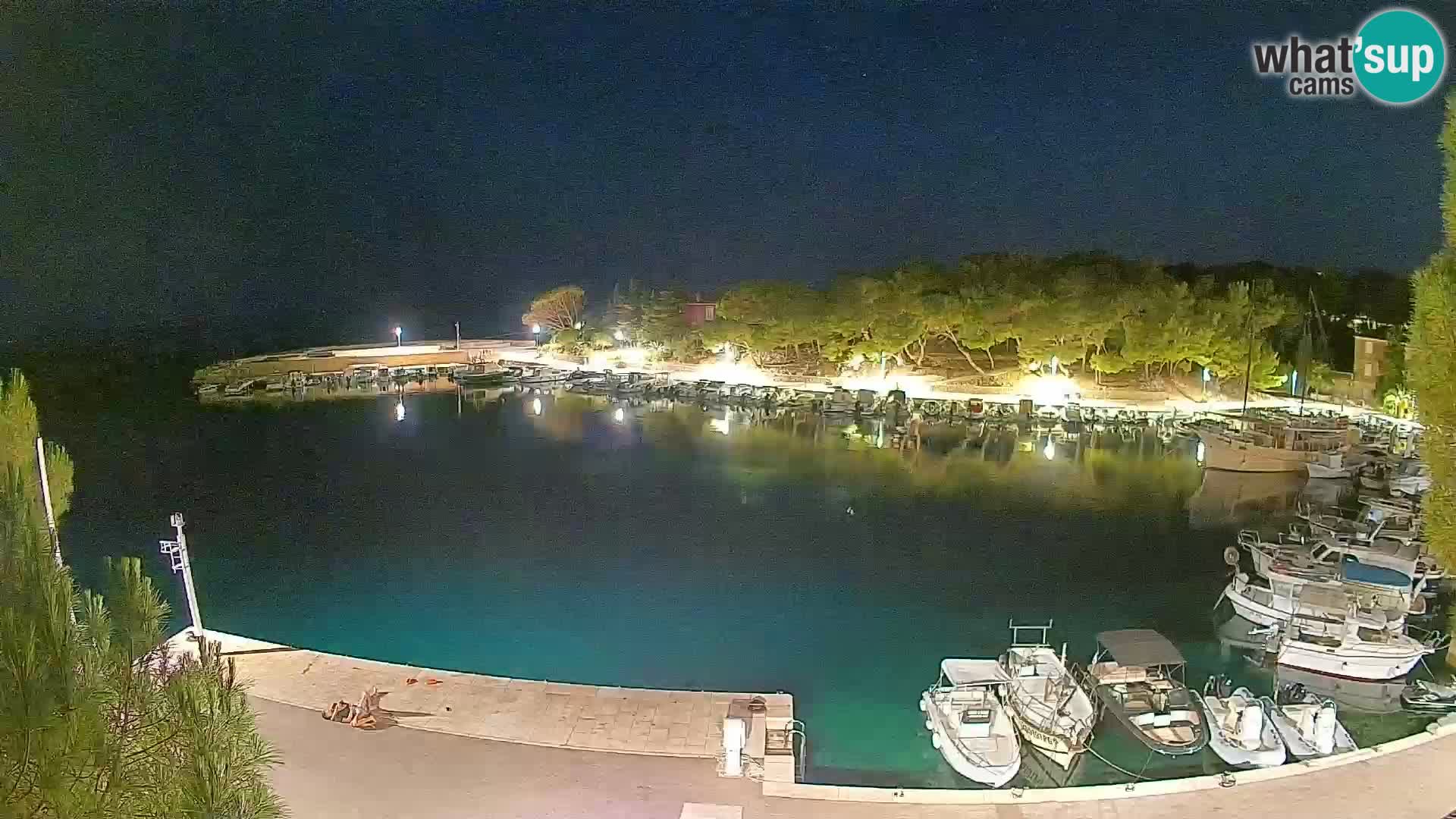 Mandre – marina