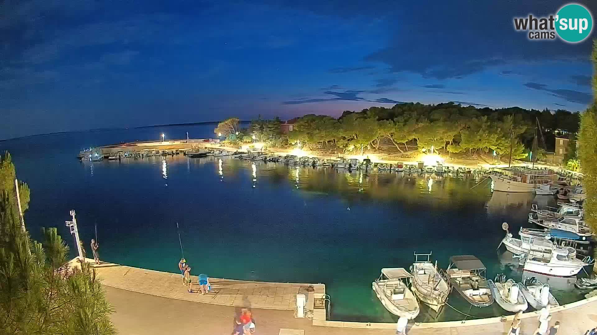 Mandre – marina