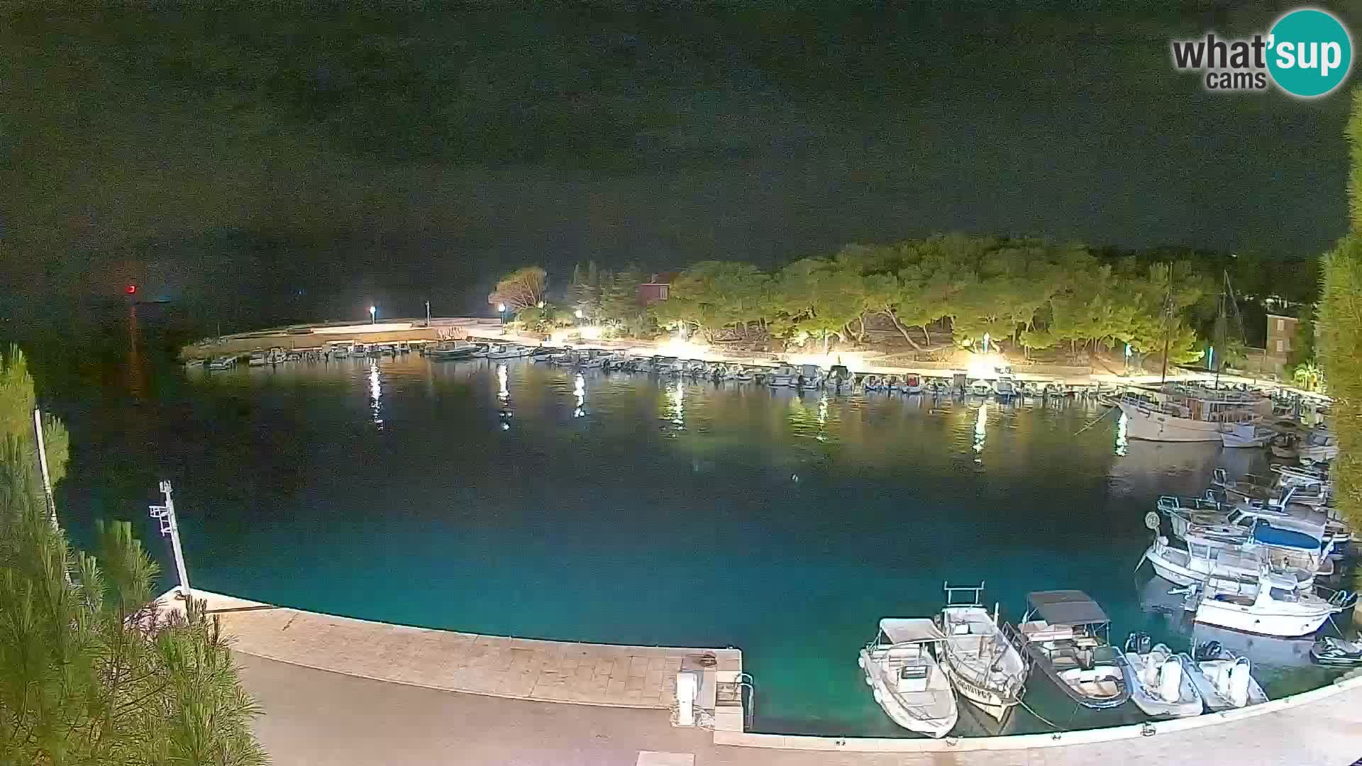 Mandre – marina