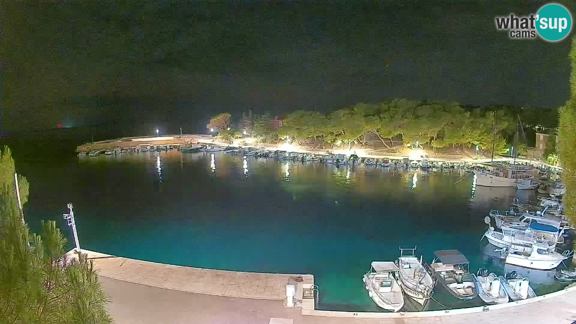 Mandre – marina