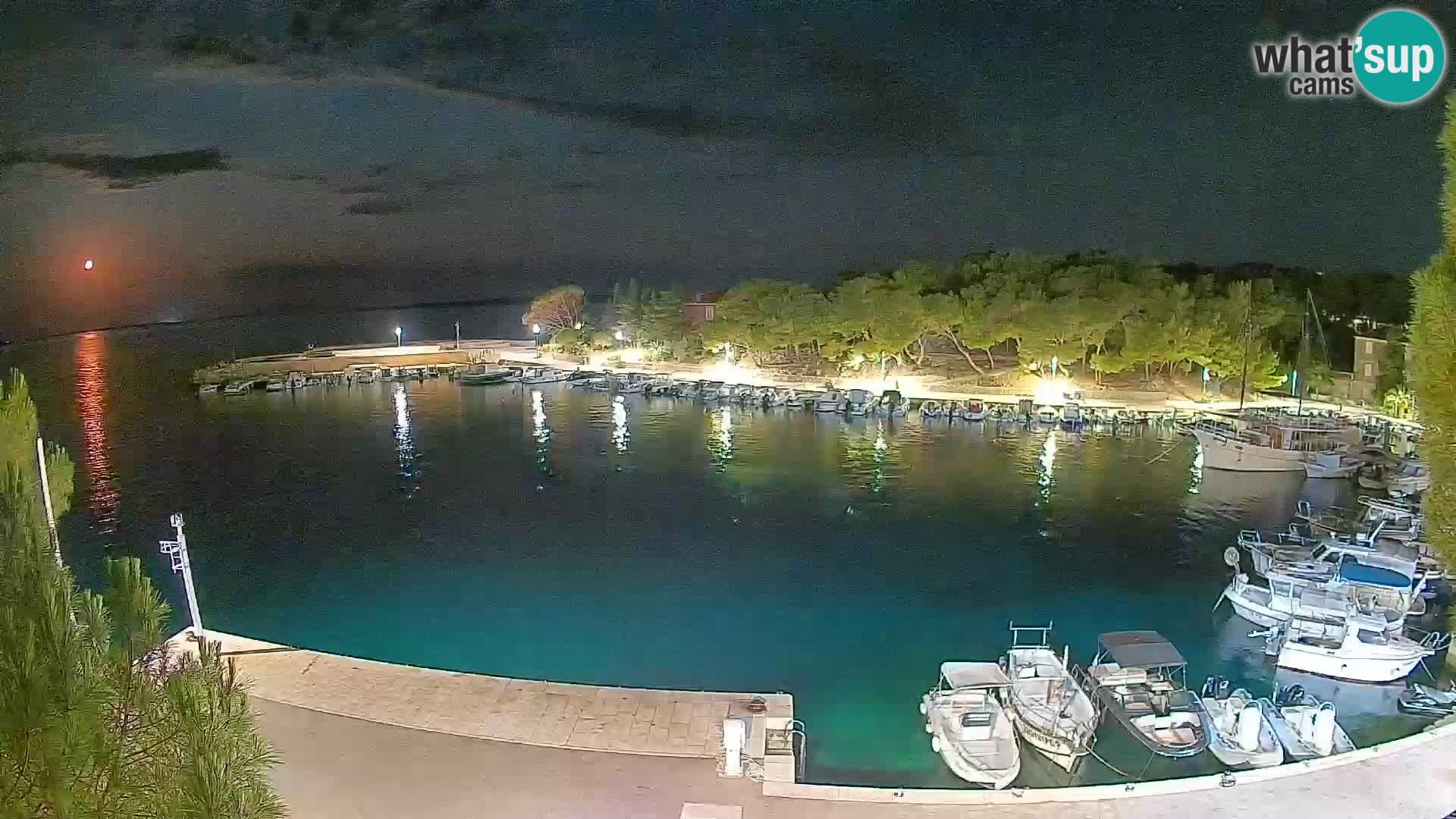 Mandre – marina