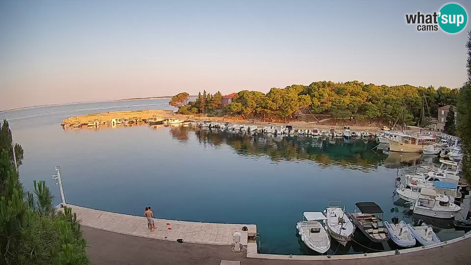 Mandre – marina