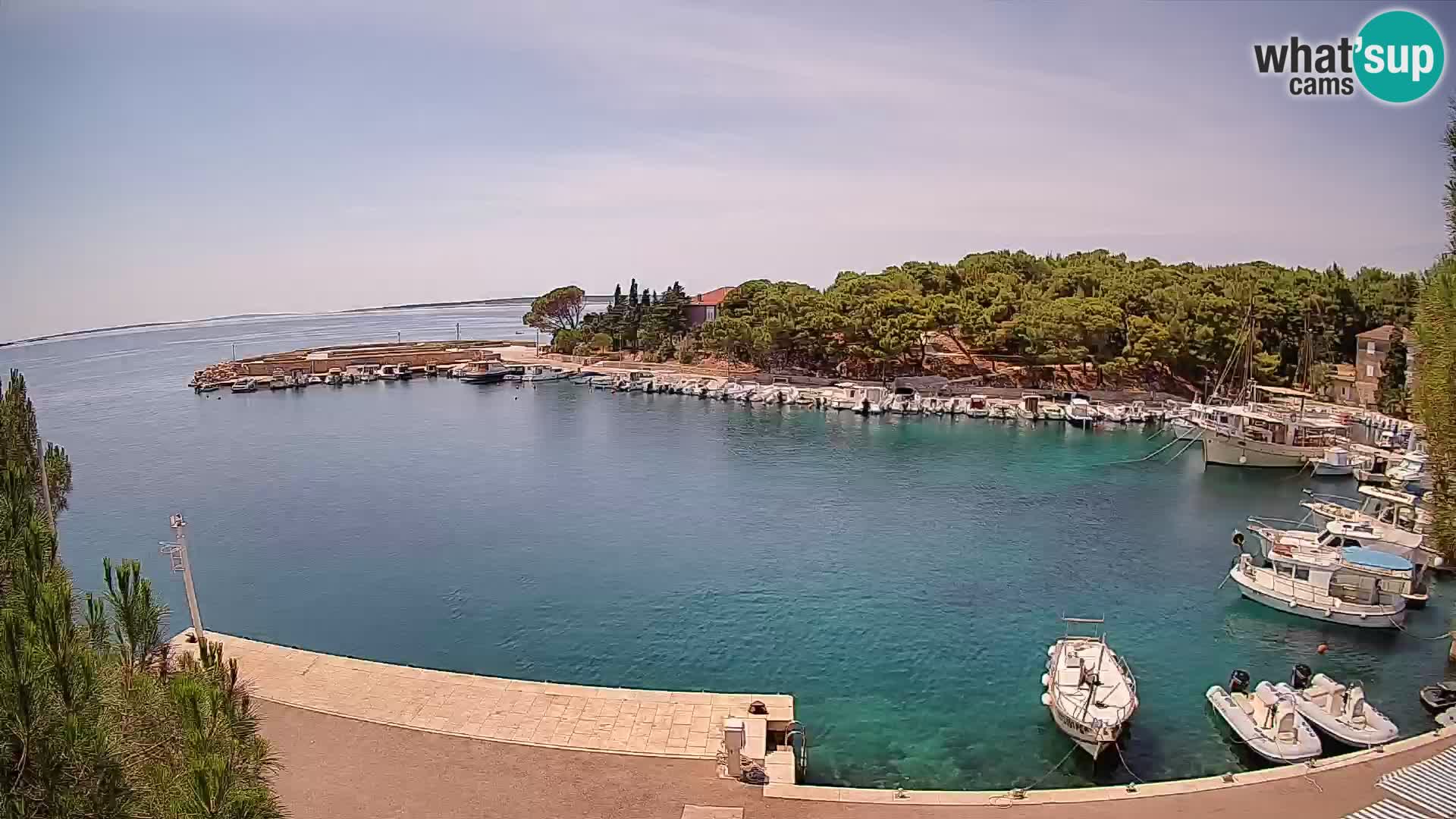 Mandre – marina