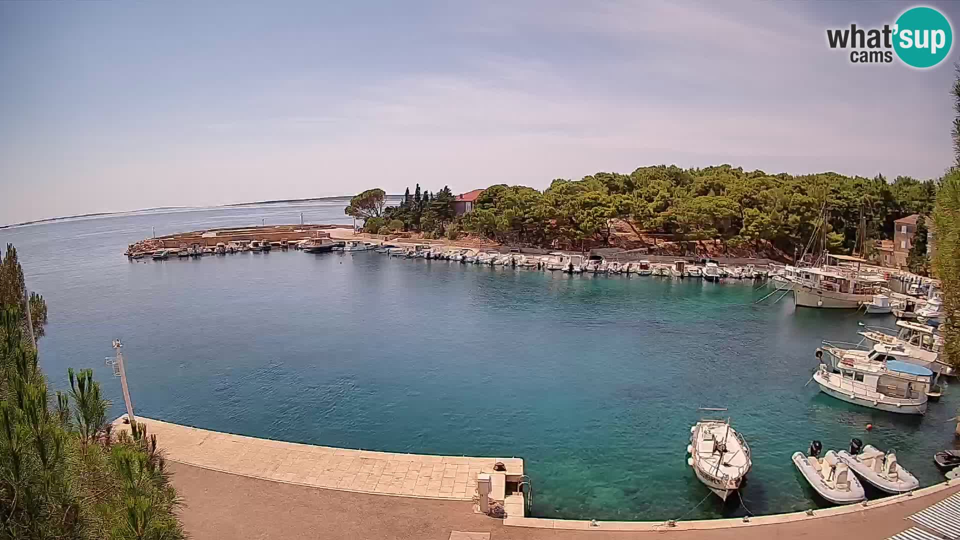 Mandre – marina