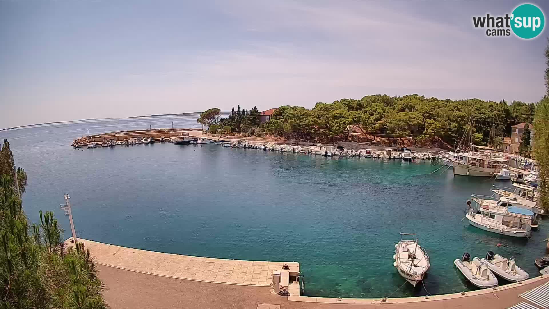 Mandre – marina