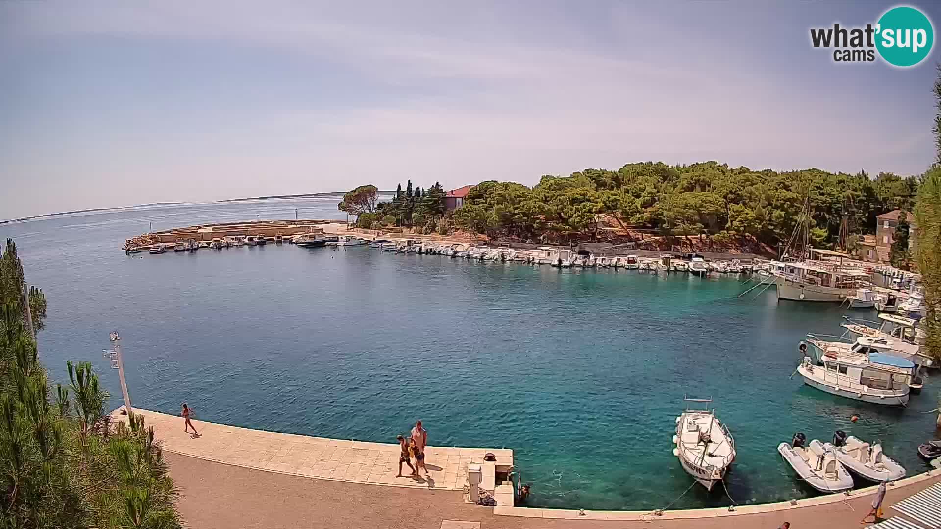 Mandre – marina