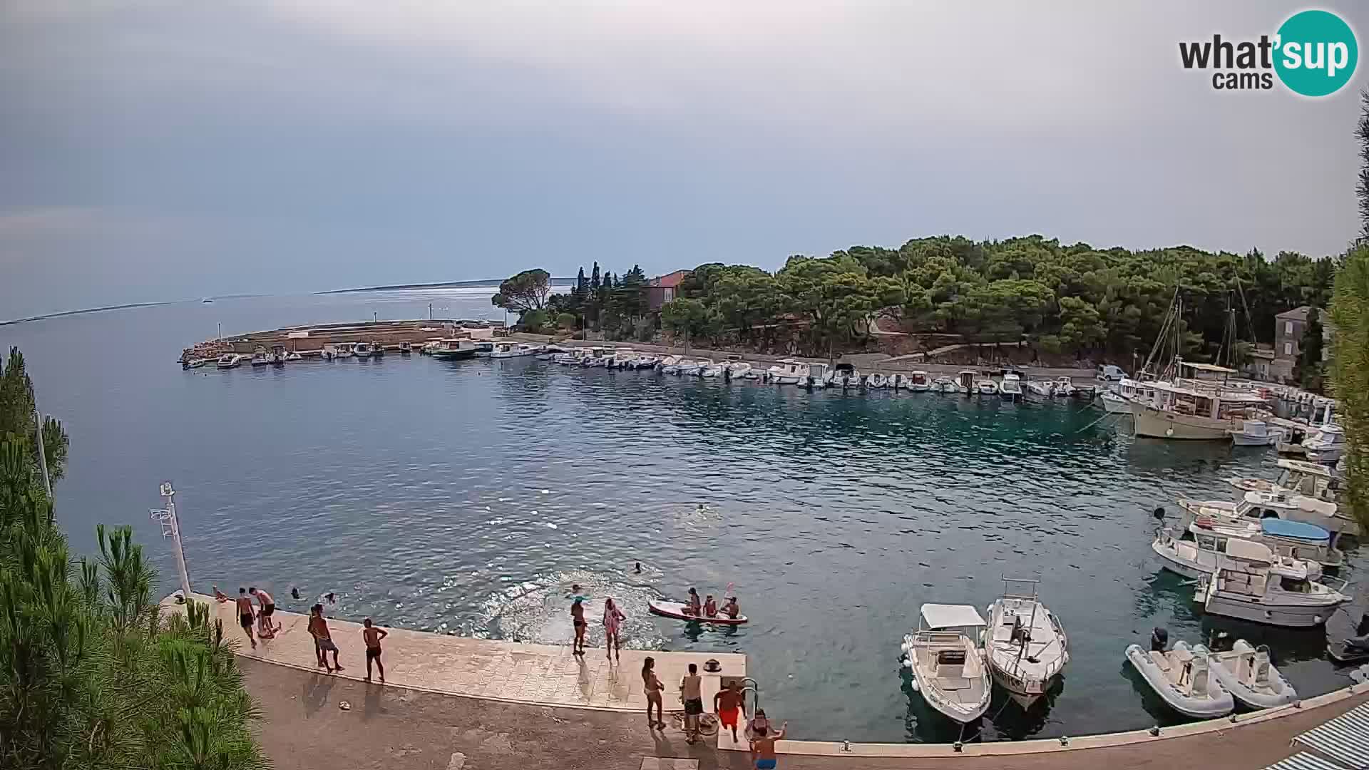 Mandre – marina