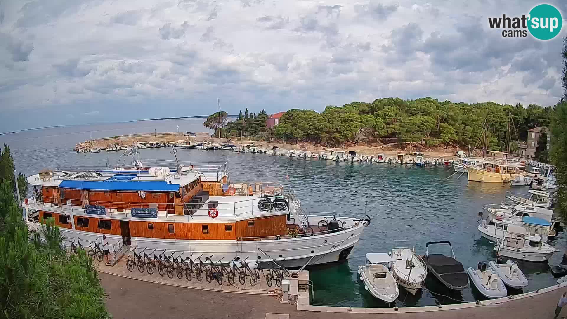 Mandre – marina