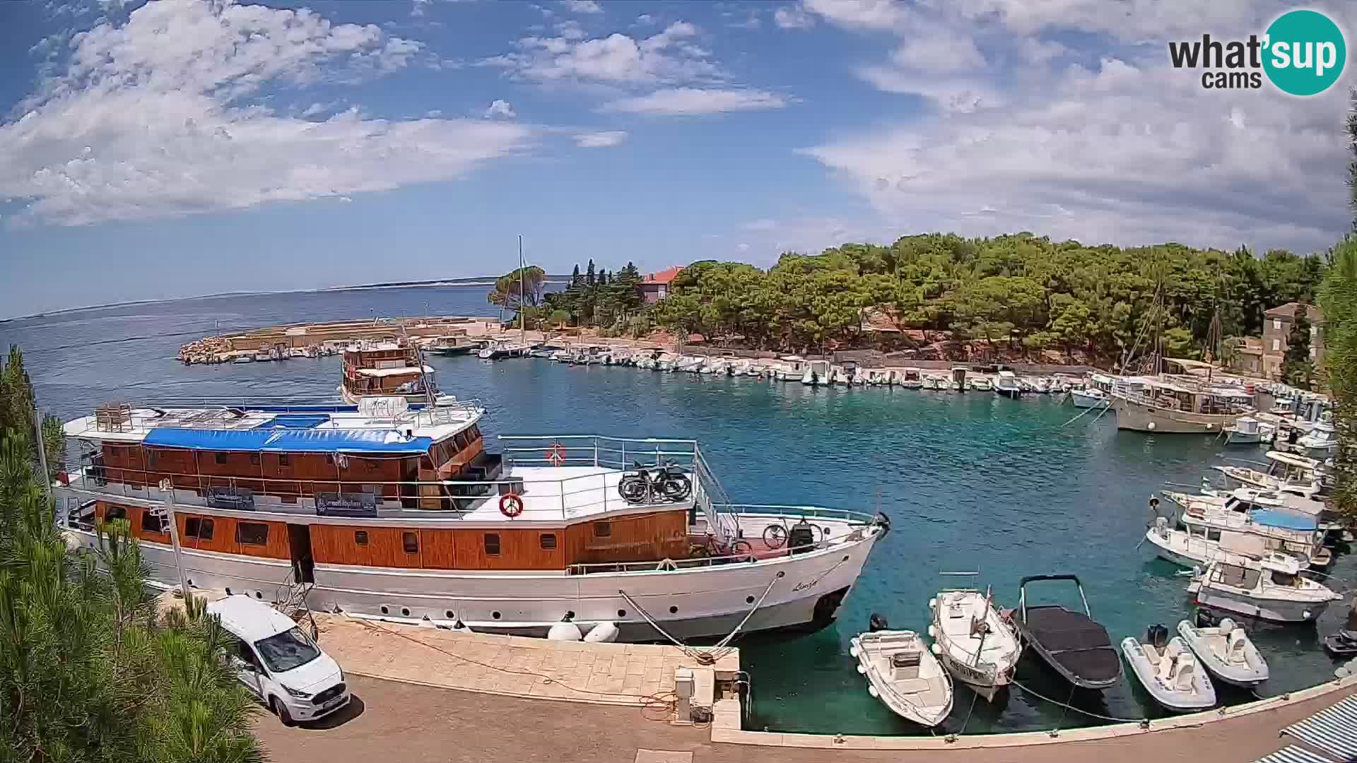 Mandre – marina