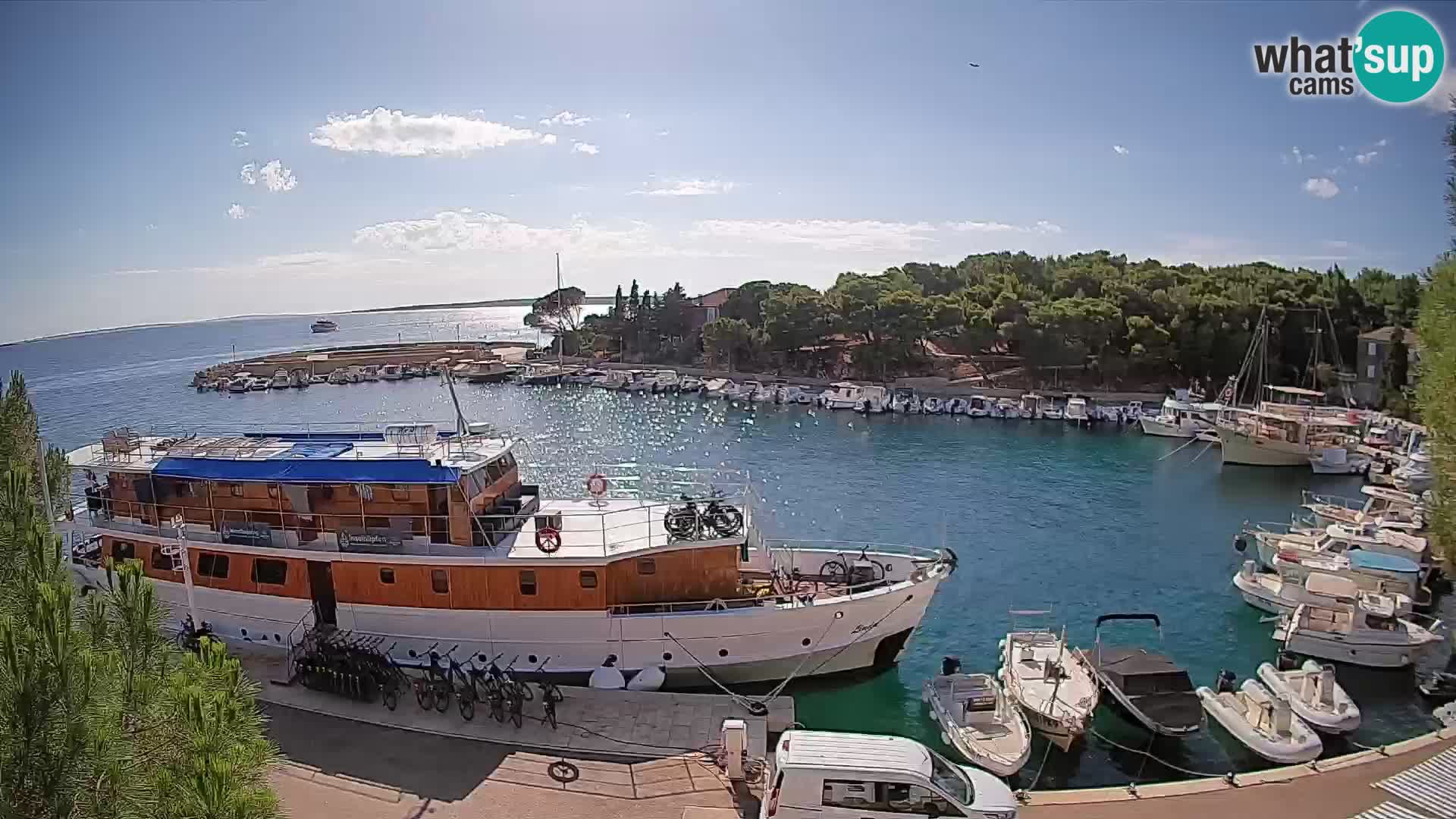 Mandre – marina