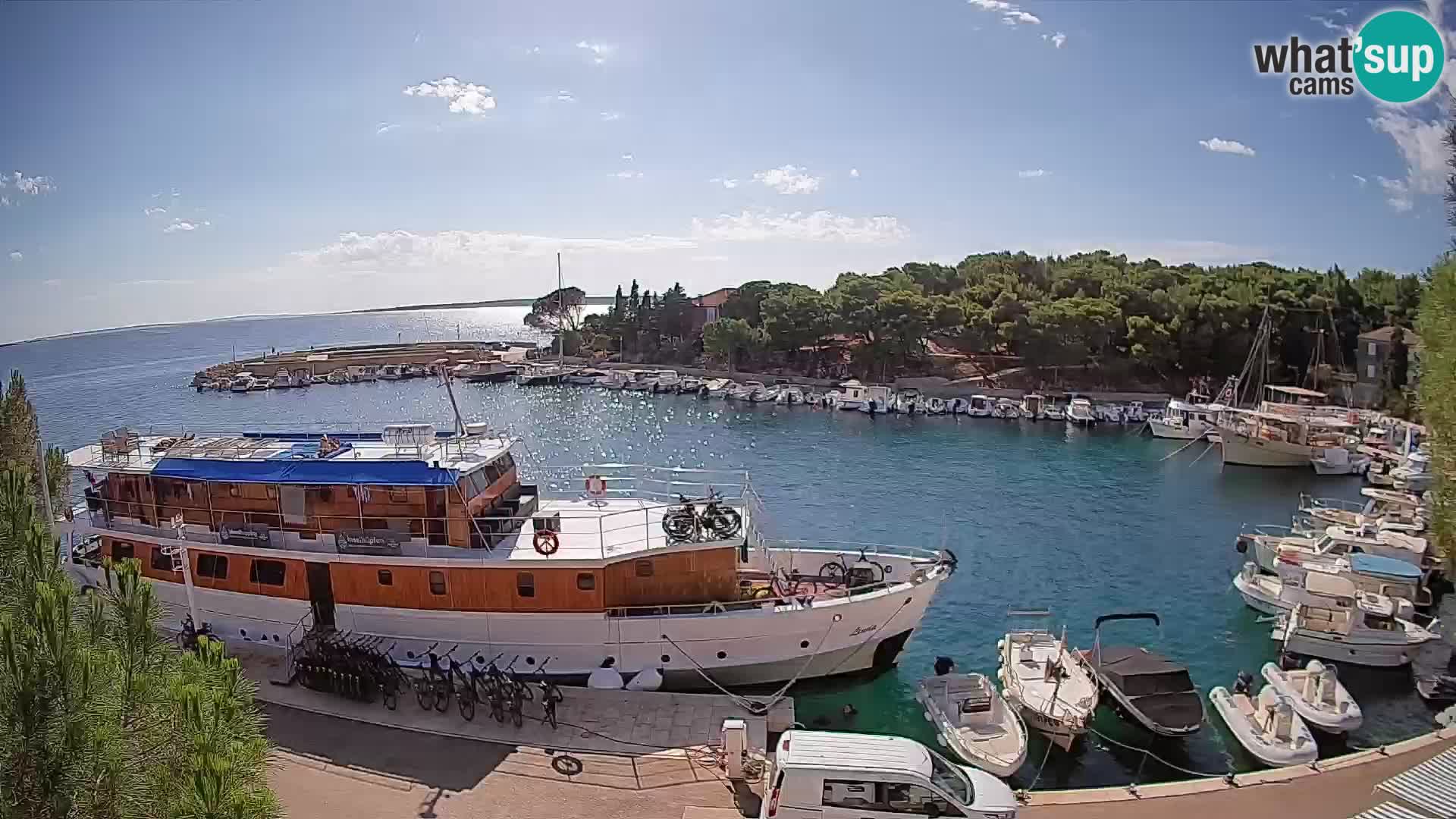 Mandre – marina