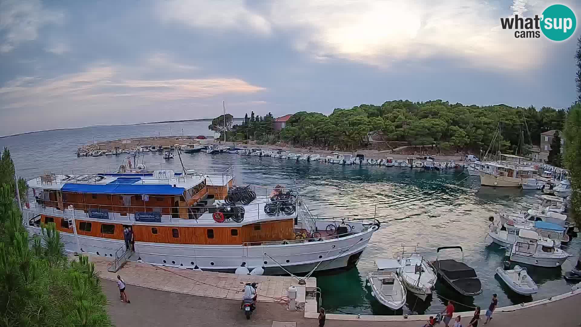 Mandre – marina