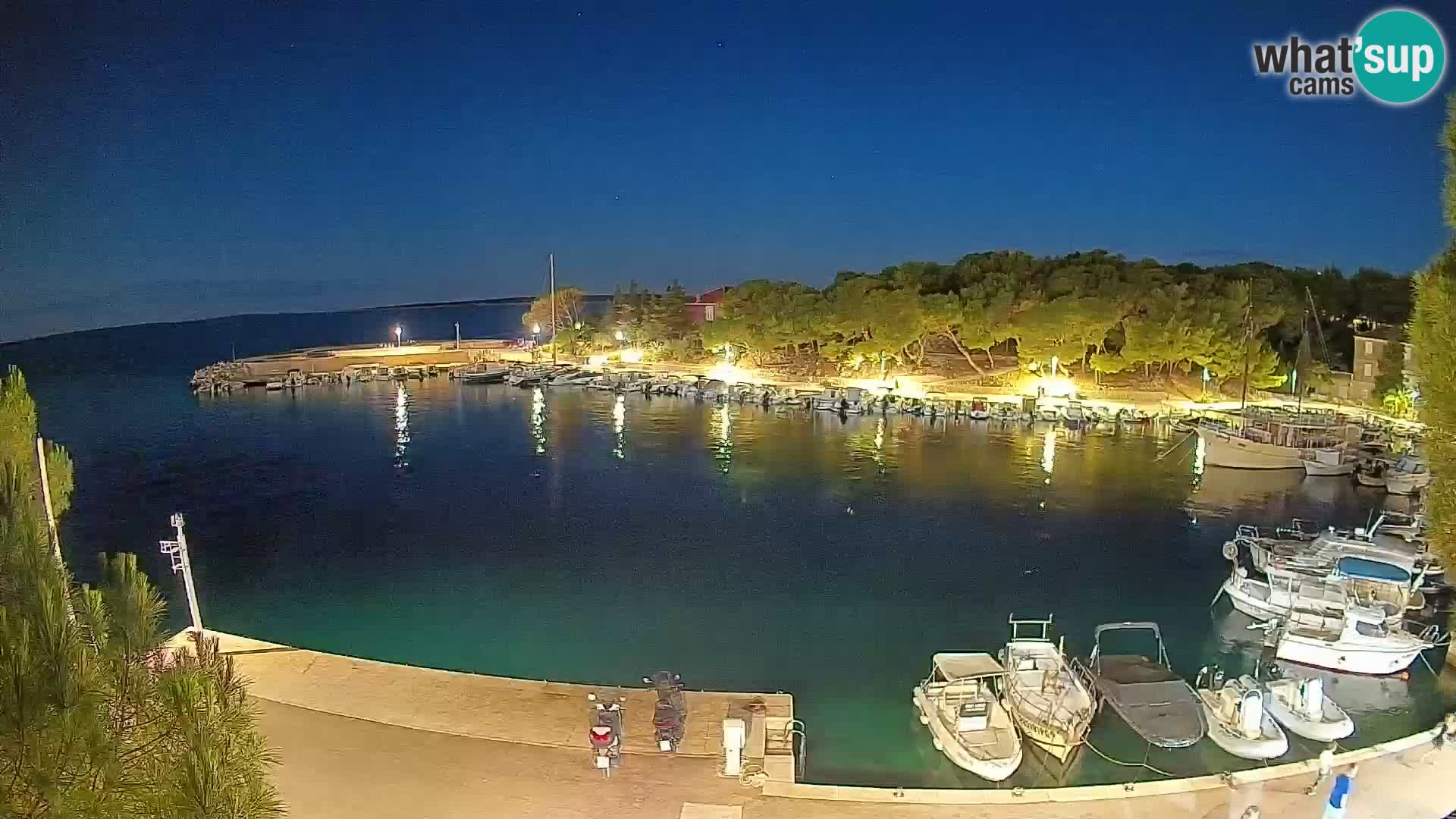 Mandre – marina