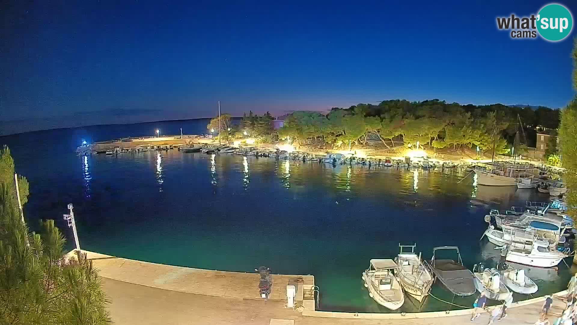 Mandre – marina